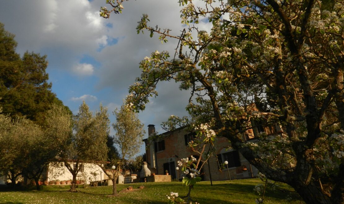 Esterno Lato Nord